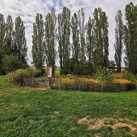 Sonnenschein Lägenhet